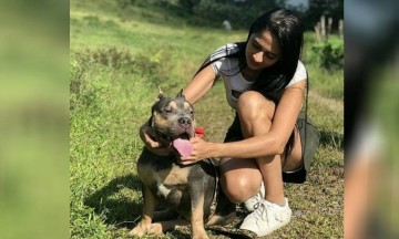 Mujer denuncia que su perro murió al tener que viajar en bodega de avión de Easyfly