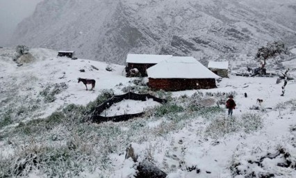 ¿Sorpréndenos 2021? Atípica nevada tiñe de blanco un parque de Colombia