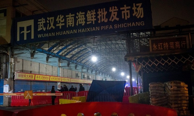 Especialistas de la OMS visitan mercado en Wuhan, para investigar origen de Covid