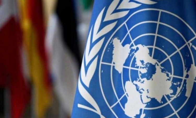 ONU pide fondos para apoyar a palestinos en Gaza