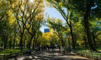 Nueva York prepara mega concierto en Central Park para recuperar a la ciudad tras la pandemia