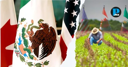 Organizaciones agroalimentarias de Norteam&eacute;rica solicitaron extender y fortalecer el TMEC durante su revisi&oacute;n de 2026.