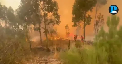 Portugal pide ayuda internacional por incendio y ola de calor extrema