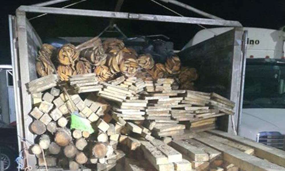 Talamontes acaban con 50 has de bosque en Coxcatlán