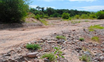 Saquean arena del río de Tepejillo y causan riesgo ambiental