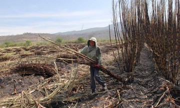 Zucarmex endurece la vigilancia a obreros en Atencingo