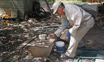 Toman medidas en Izúcar contra el dengue