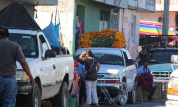 Baja producción de flor de temporada en Tehuacán
