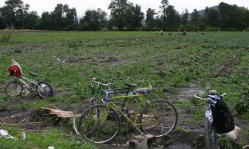 Timan falsos gestores a campesinos en Xochitlán y Tlacotepec