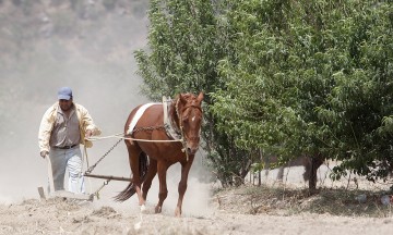 Alertan por deterioro en el suelo de la Mixteca