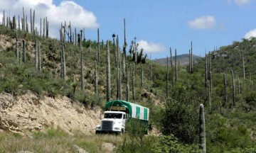 Acusan invasión en reserva de la biósfera Tehuacán- Cuicatlán