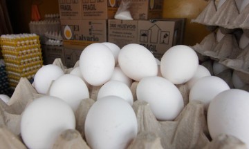 Cierran productores de huevo con pérdidas en 2016