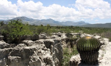 Inhibe ecoturismo la migración en la Mixteca