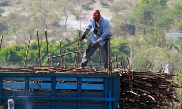 Concluiría zafra a finales de mayo en Chietla