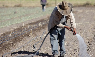 Municipios, sin plantas de tratamiento