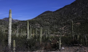 Violan tres colonias límites de la reserva 