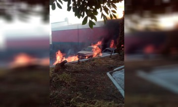 Daña incendio 60 has de la Biosfera de Tehuacán