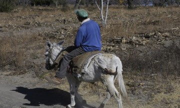 Duplican apoyos a productores