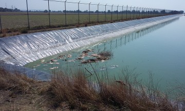 Rescatan a 7 canes en Huejotzingo, mueren 14