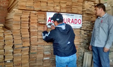 Clausura Profepa una maderería en Cuautlancingo