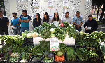 Feria, esperanza de 500 productores org&aacute;nicos