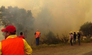 Registra Puebla 493 incendios forestales en 2017