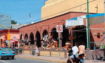 Se aprovechan coyotes de artesanos