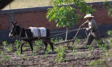 Sigue sin atención planta tratadora en Acatlán