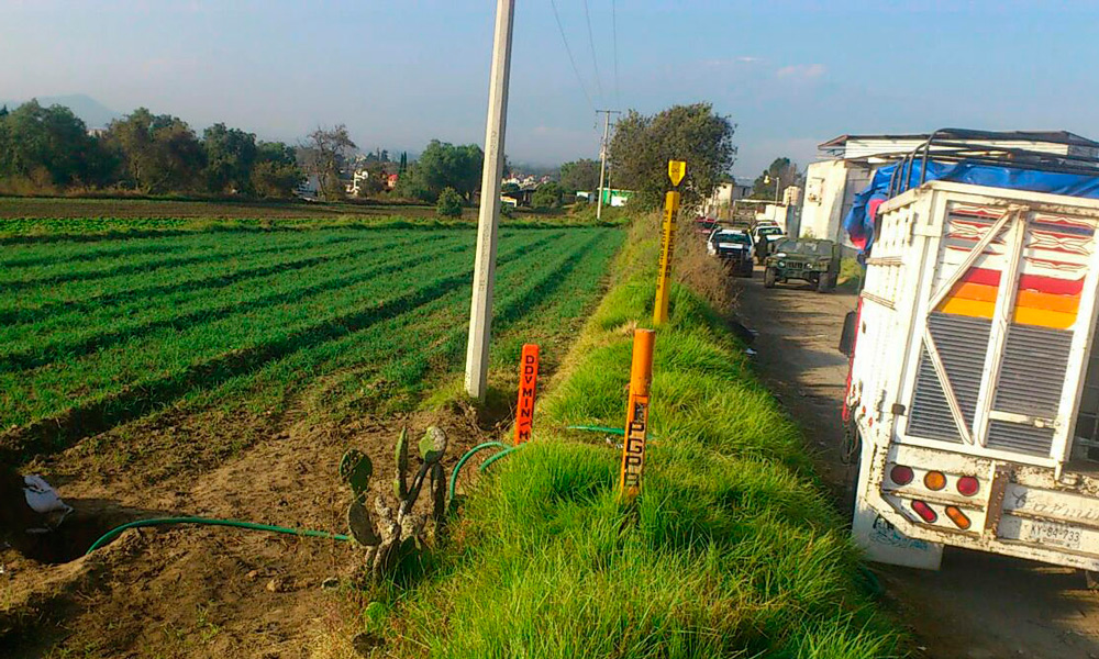 Registra Xicotepec 15 ordeñas en seis meses