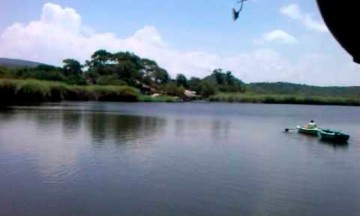 Mueren cientos de peces en laguna de San Juan Epatlán