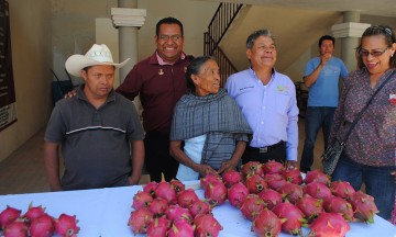 Consume EU pitahaya de Santa Inés