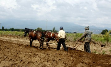 Denuncian a falsos gestores de Sagarpa en la Mixteca