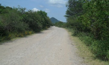 Abandonan caminos de San Miguel Ixitlán