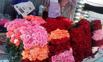 Esperan repunte floricultores y alfareros