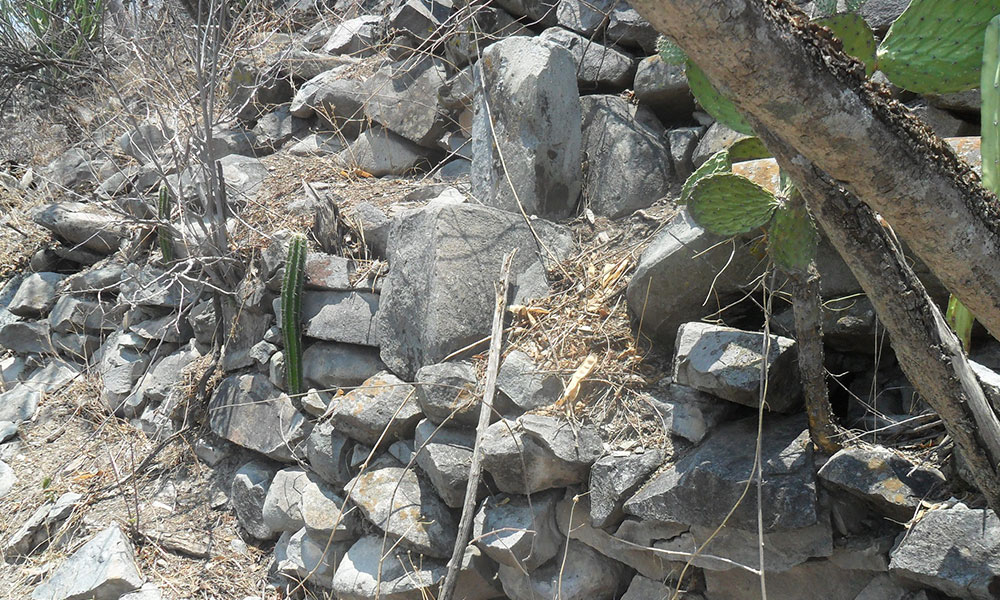 Persisten saqueos en la zona arqueológica de Cerro Gordo 