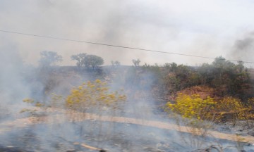 En Chila, van contra incendios forestales 