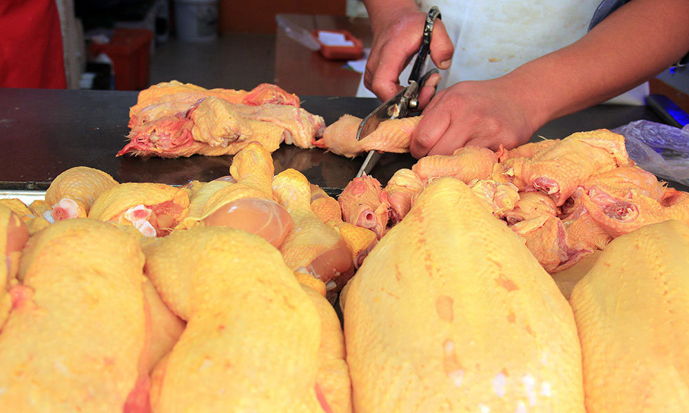 Alistan en Tehuacán exportación de huevo y pollo a Venezuela 
