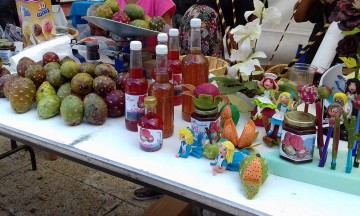 Alistan comercialización de mermelada de ciruela 