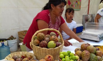 Mixtecos van a Feria de la Pitaya 