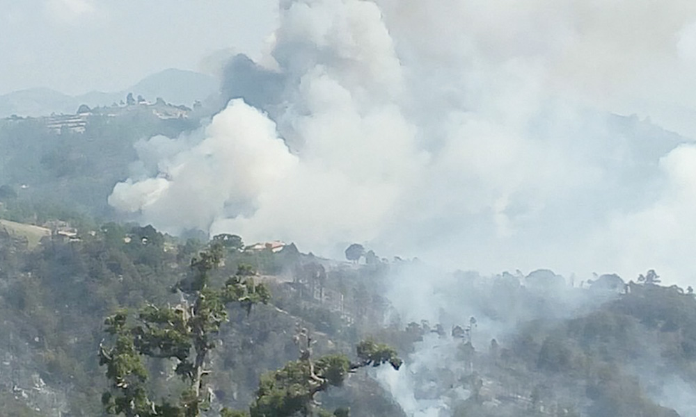 Consume incendio 80 hectáreas en Sierra Negra