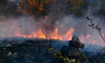 Incendio sin control en Tetela; quema más de 500 hectáreas