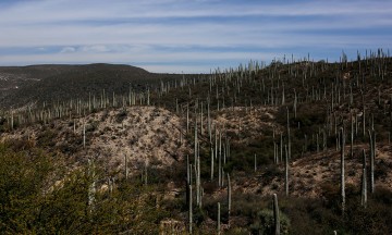Descartan afectaciones para habitantes de reserva