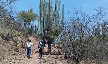 Aumenta turismo alemán en biósfera