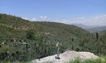 Alertan por falso delegado en la reserva de la biósfera