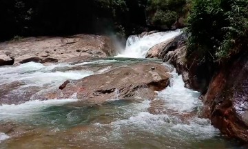 Presentan quejas por descuido de río