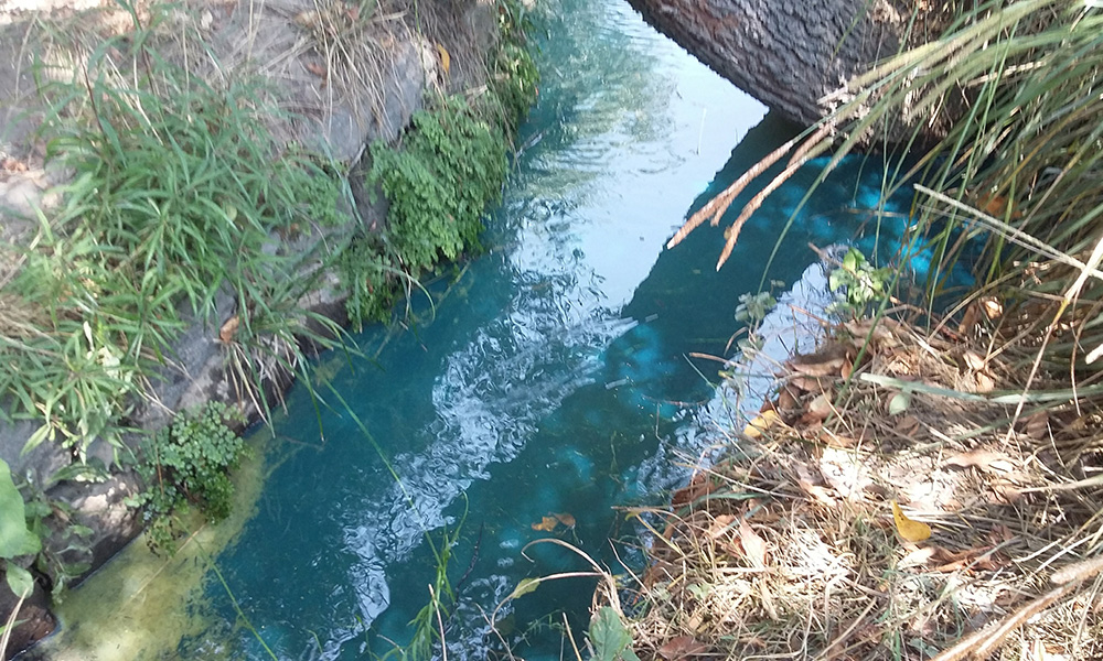 En Texmelucan contaminaron río, y hoy viven problema de salud pública 