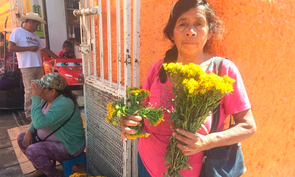 Protegen los hogares con flor de pericón en Izúcar