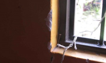 Necesario contar con seguros para hogar ante actividad sísmica: señala experto