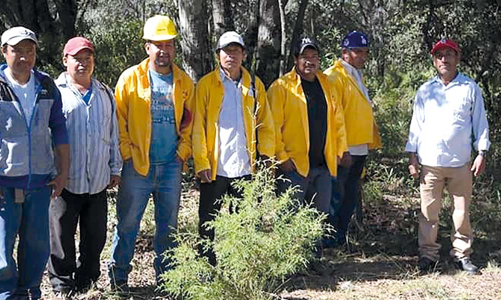 Reforestan la zona Izta-Popo