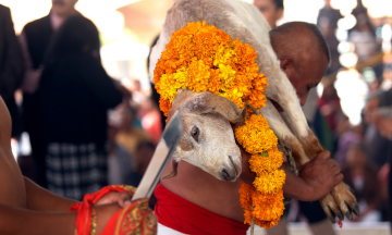 Abren con danzas tradicional festival del Mole de Caderas